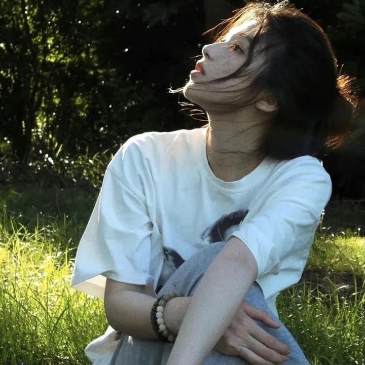 男极探射灯